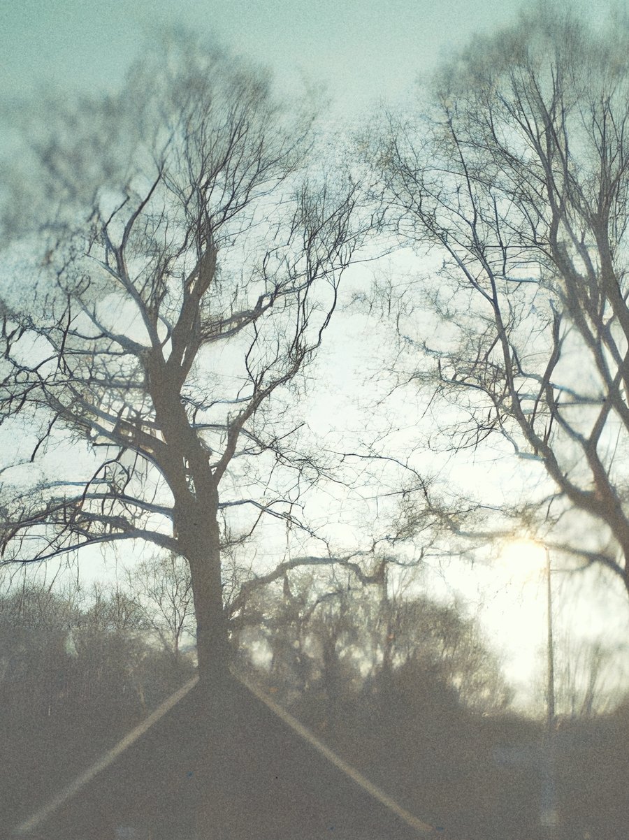van Alphenstraat surroundings – Hengelo, the Netherlands