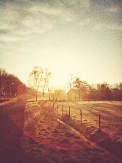 Direct sunlight