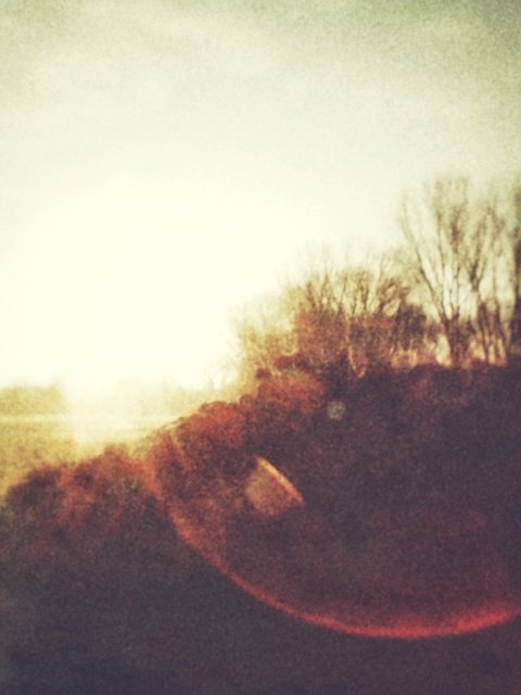 Direct sunlight