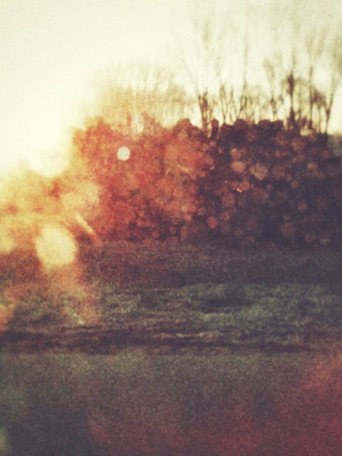 Direct sunlight