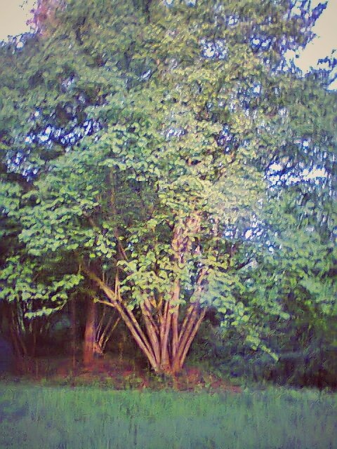 Hengelo