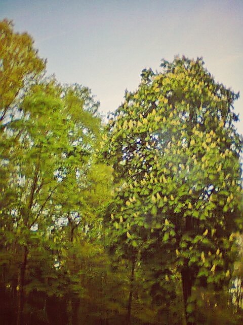 Hengelo