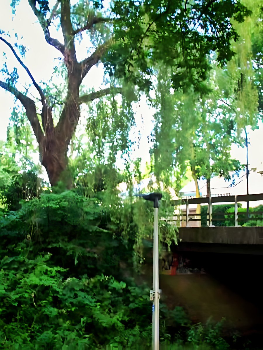 Around Hesbeek