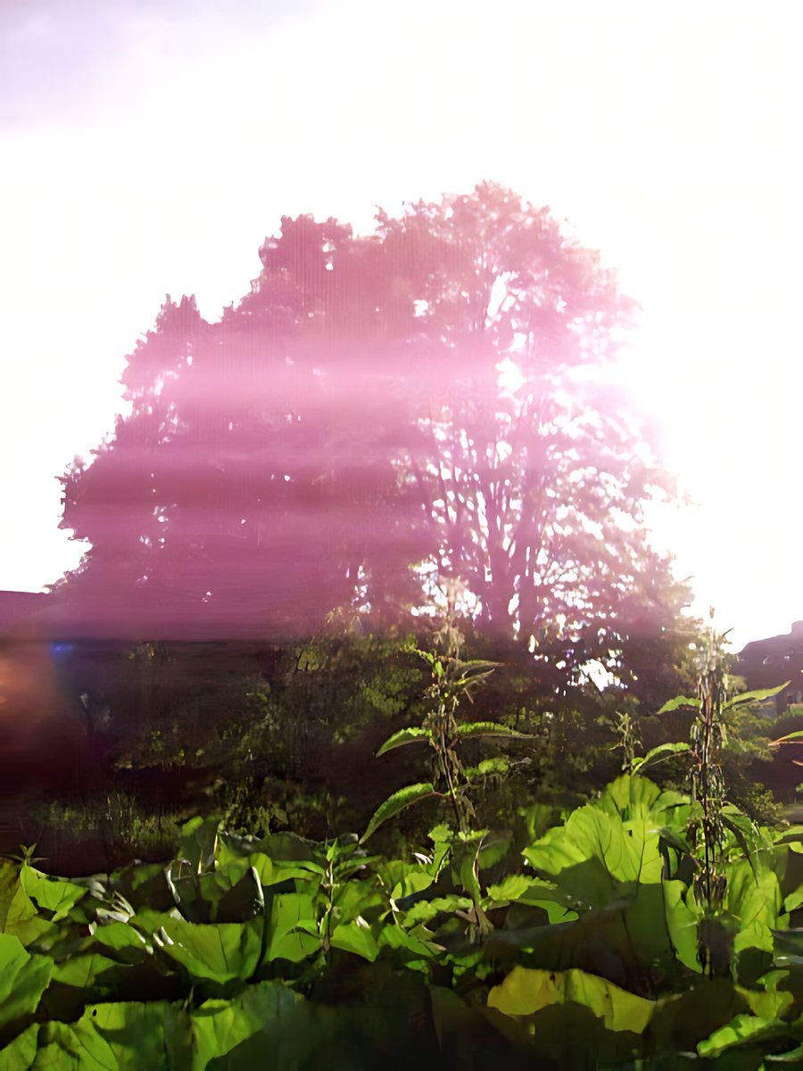 Around Hesbeek