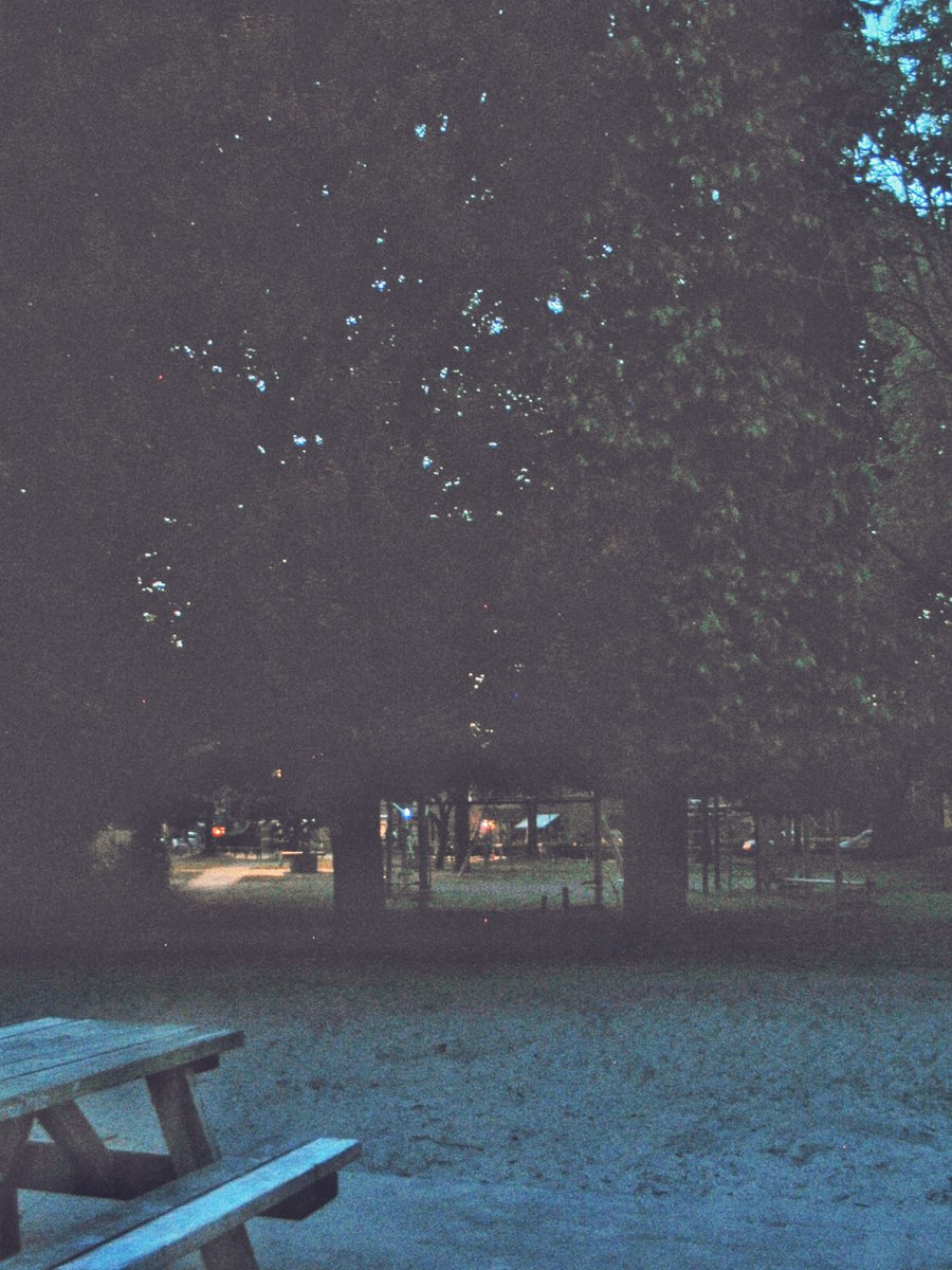Hasselerbeek