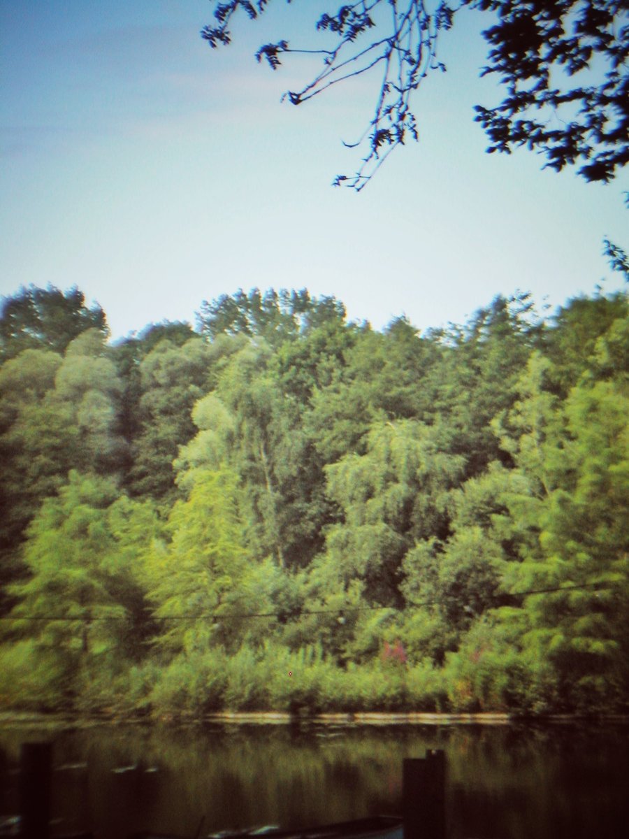 Houtmaatweg