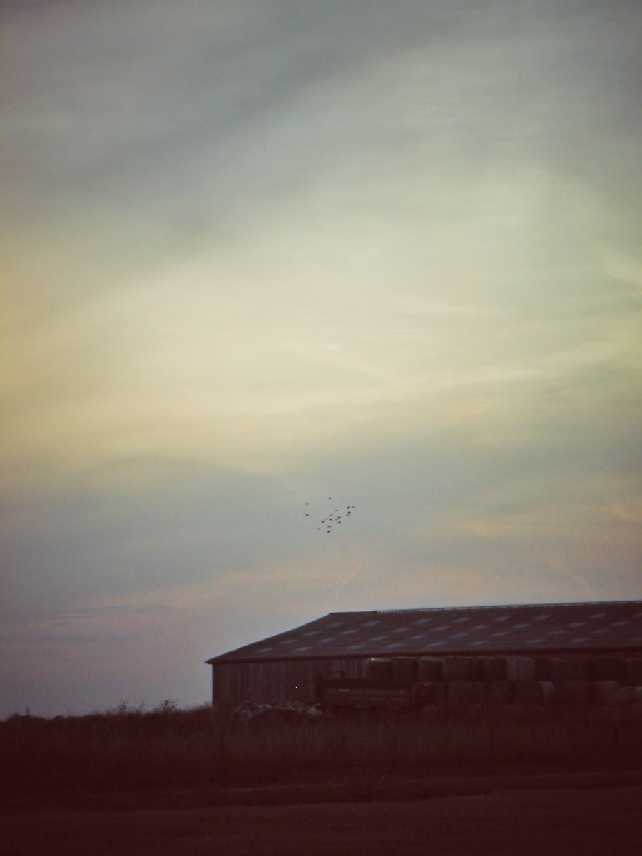 Farm