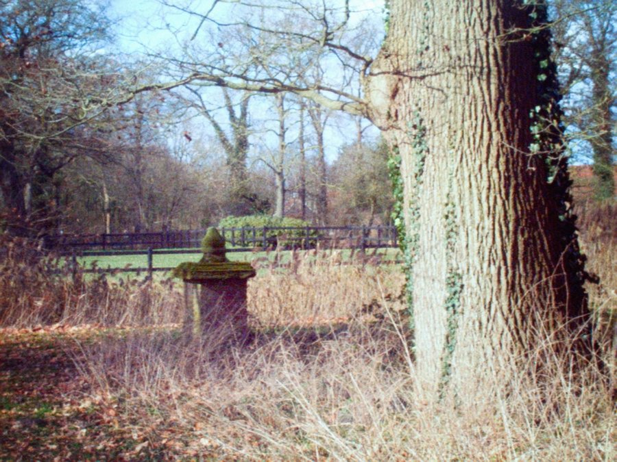 Middeleeuws Weleveld