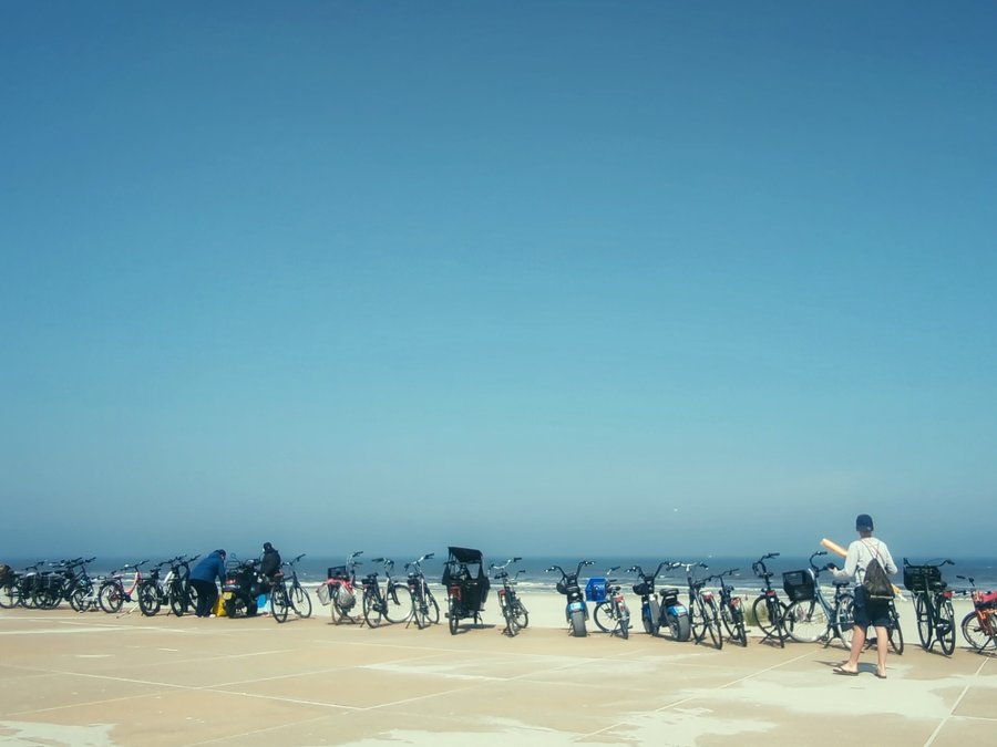 Trip to Texel – the Netherlands
