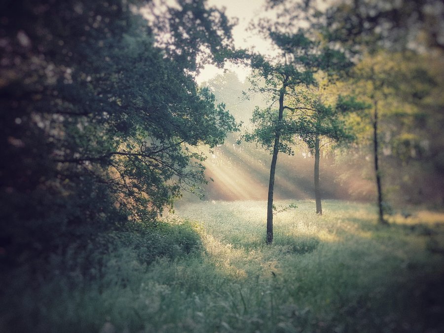 Rays in the morning – Hengelo, the Netherlands
