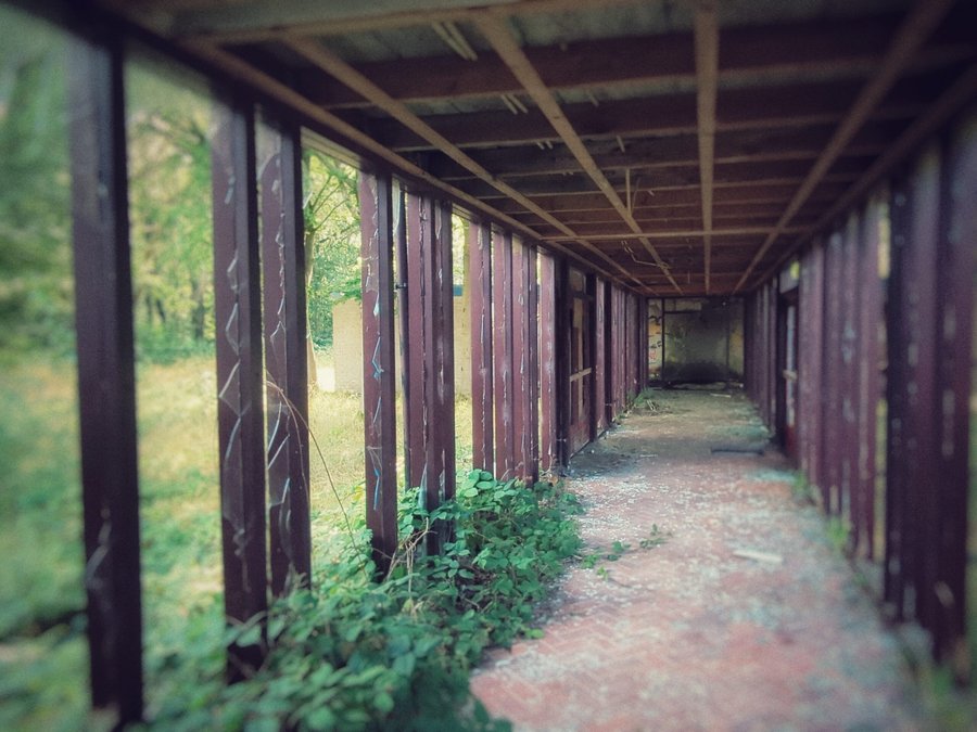 Abandoned facility – Oosterhesselen, the Netherlands