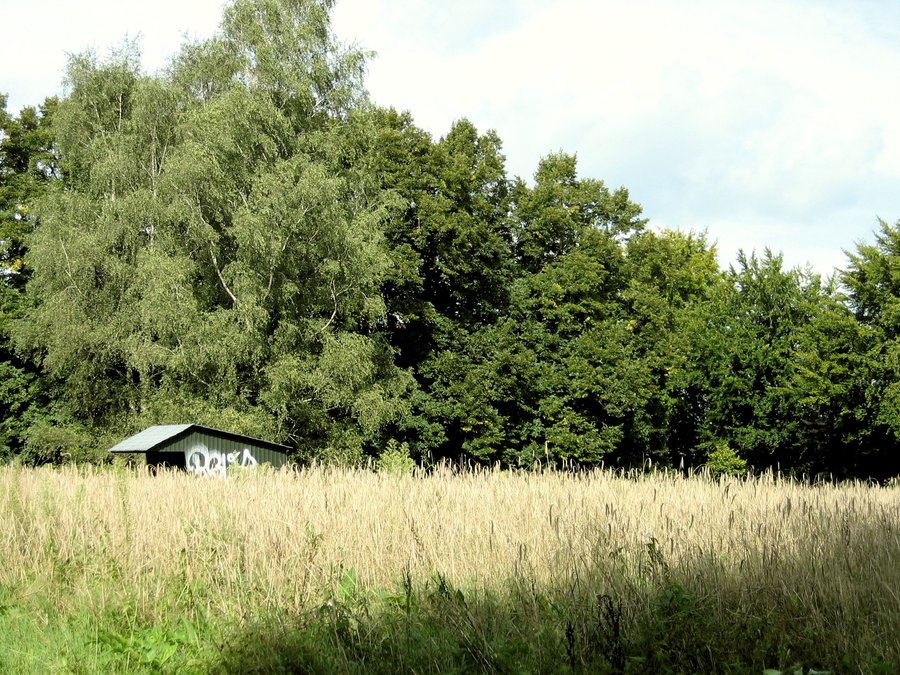 Shed near the Weustag tower – Hengelo, the Netherlands