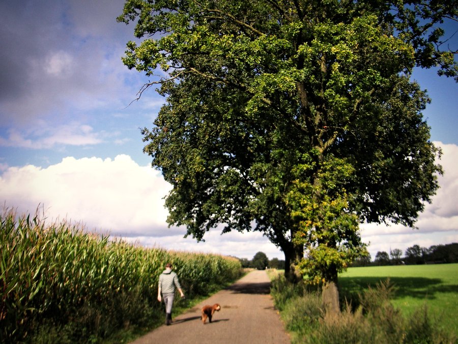 Countryside – Deurningen, the Netherlands