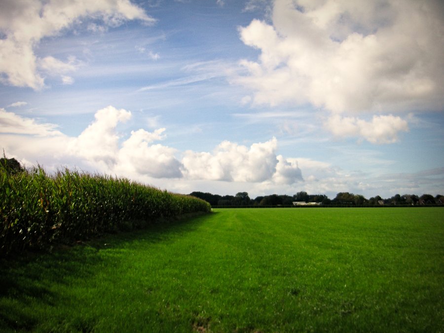 Countryside – Deurningen, the Netherlands