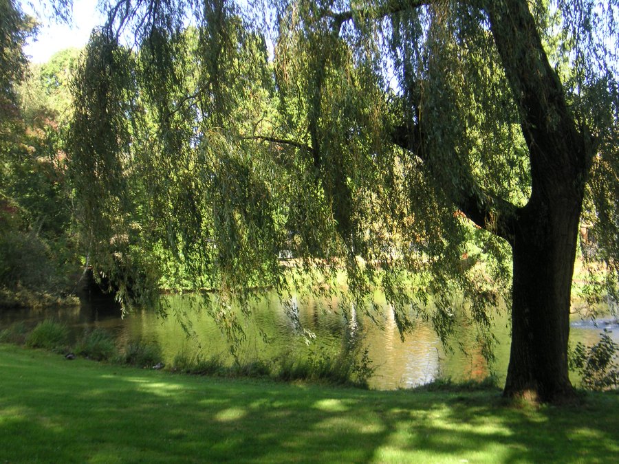 Green explosion – Hengelo, the Netherlands