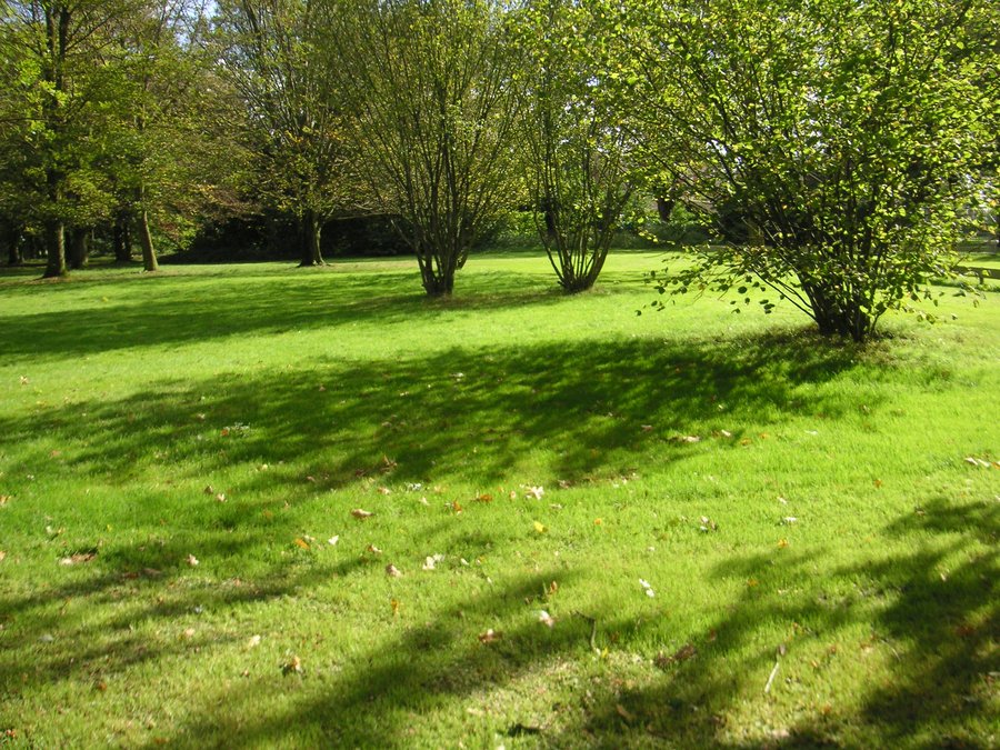 Green explosion – Hengelo, the Netherlands