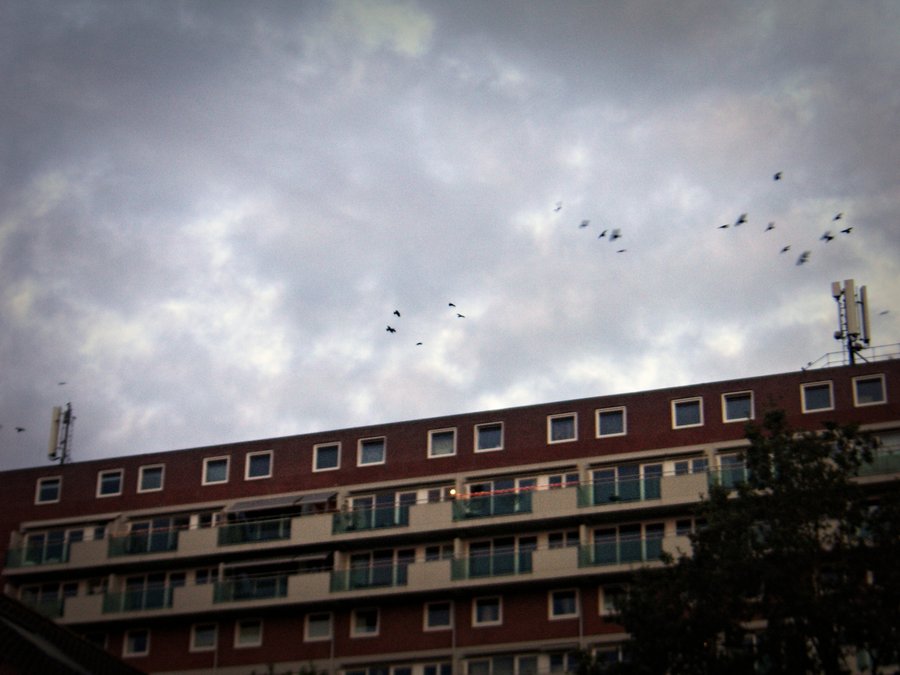 Flat – Hengelo, the Netherlands