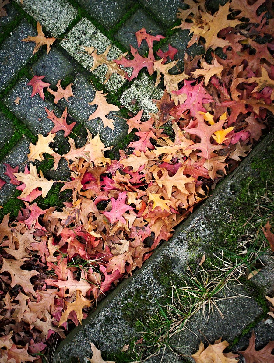 More autumn – Hengelo, the Netherlands