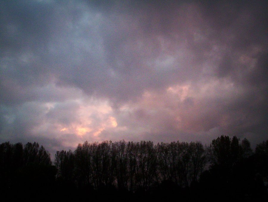 Early morning