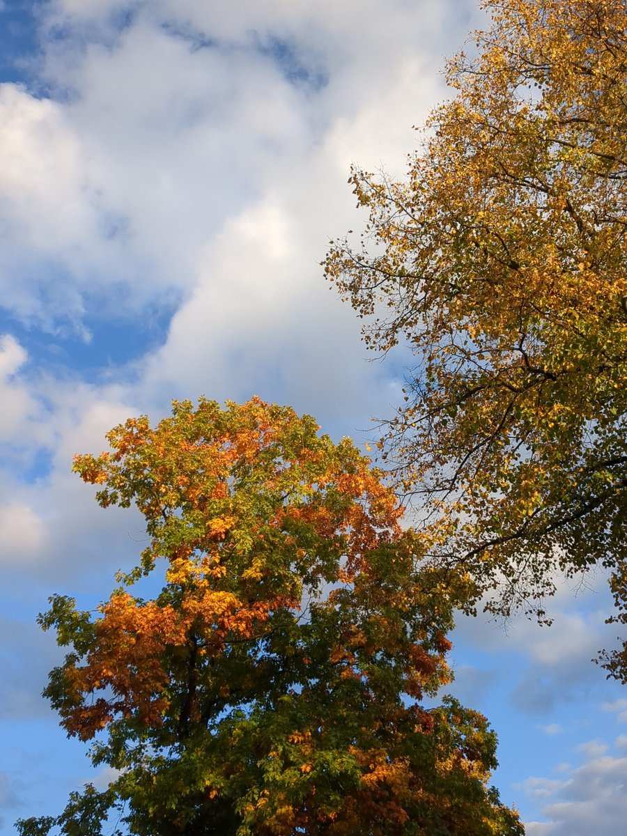 Colors that pop! Hengelo, the Netherlands