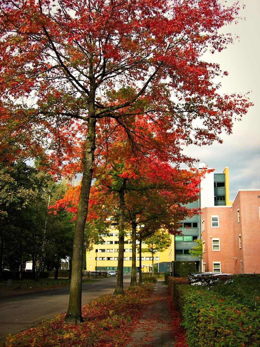 Colors that pop! Hengelo, the Netherlands