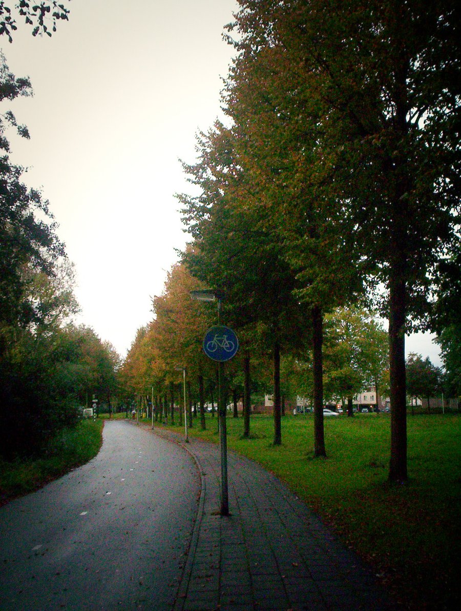 Autumn colors in the morning – Hengelo, the Netherlands