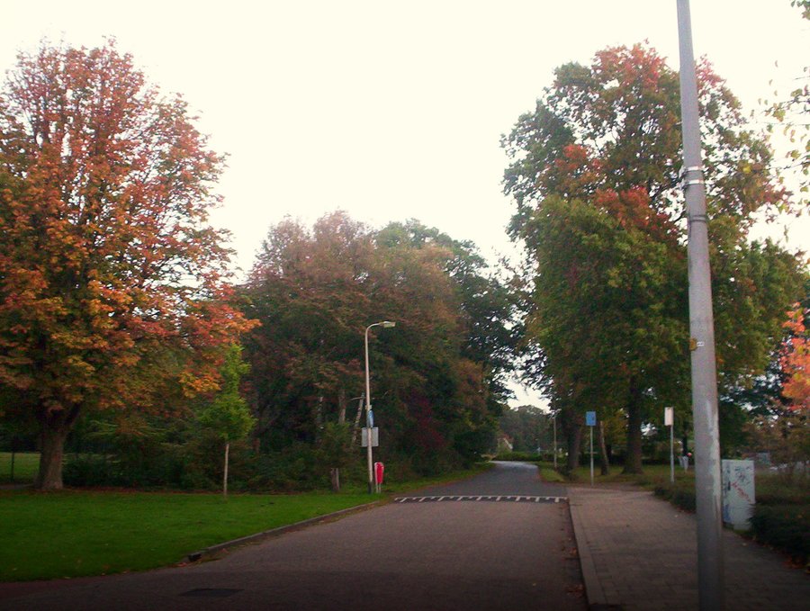 Autumn colors in the morning – Hengelo, the Netherlands