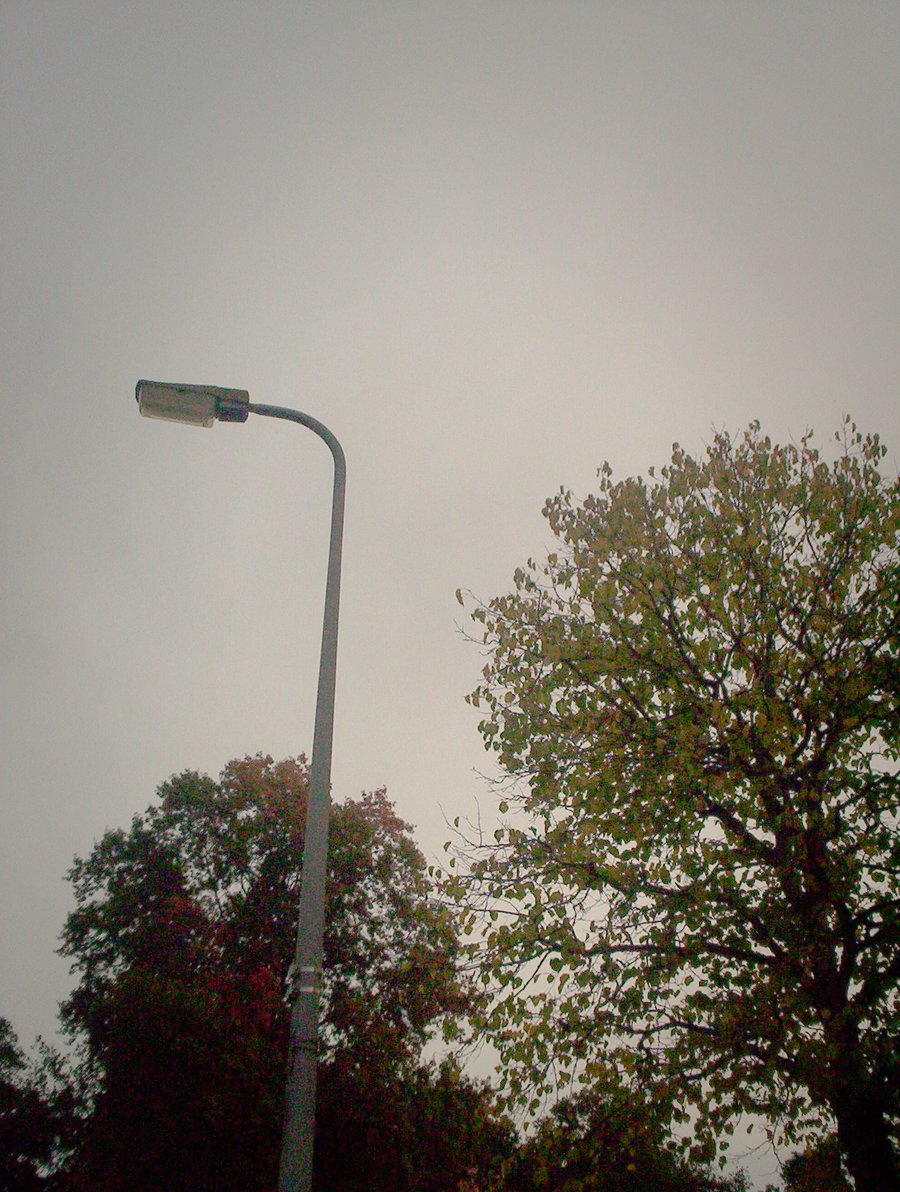 Autumn colors in the morning – Hengelo, the Netherlands