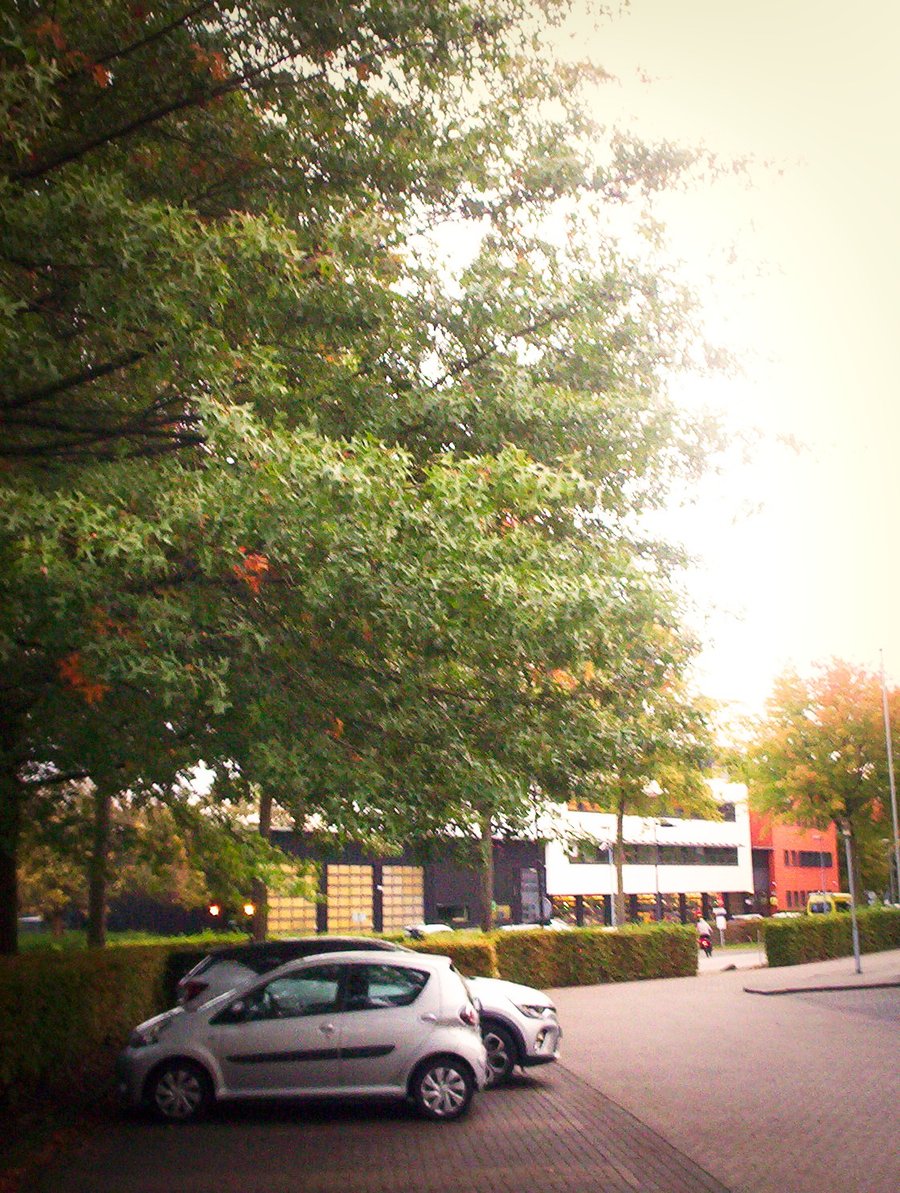 Autumn colors in the morning – Hengelo, the Netherlands