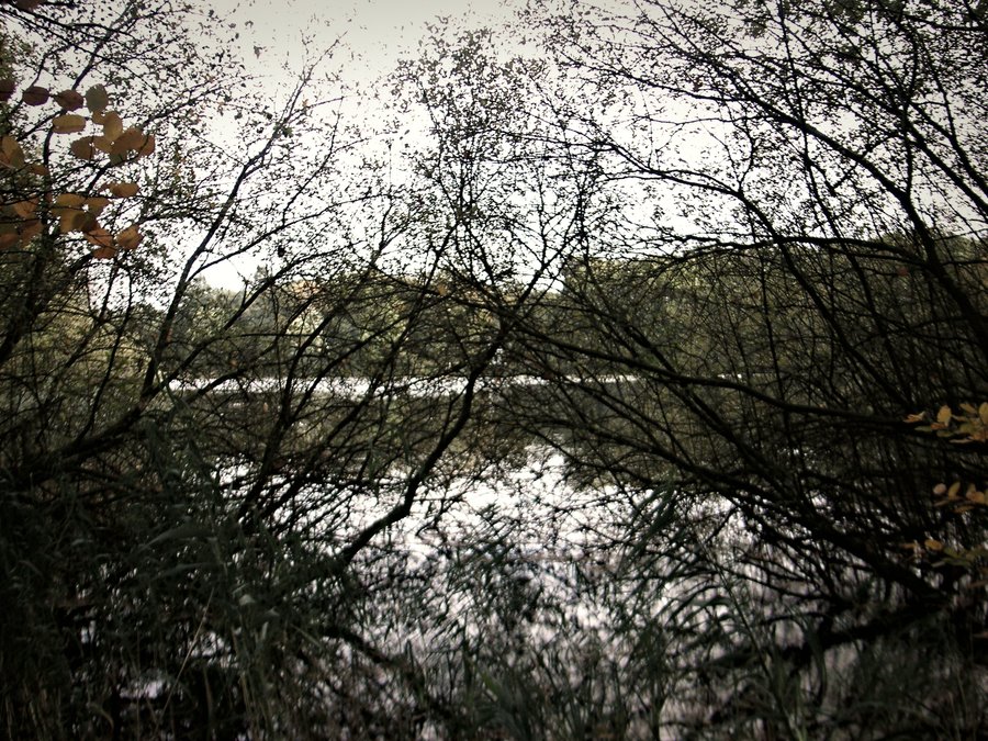 Around the Pallastweg – Hengelo, the Netherlands