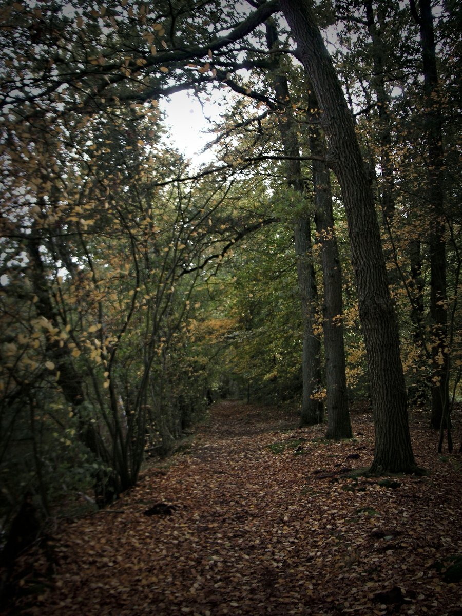 Around the Pallastweg – Hengelo, the Netherlands