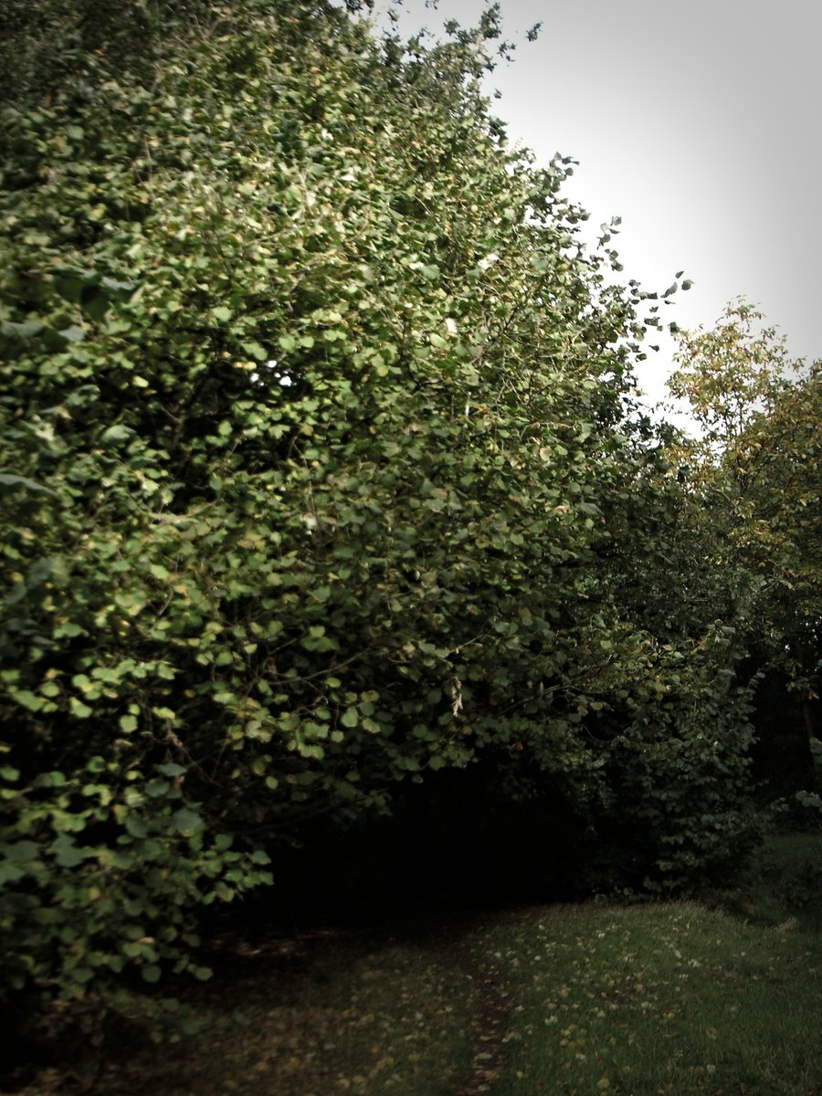 Around the Pallastweg – Hengelo, the Netherlands