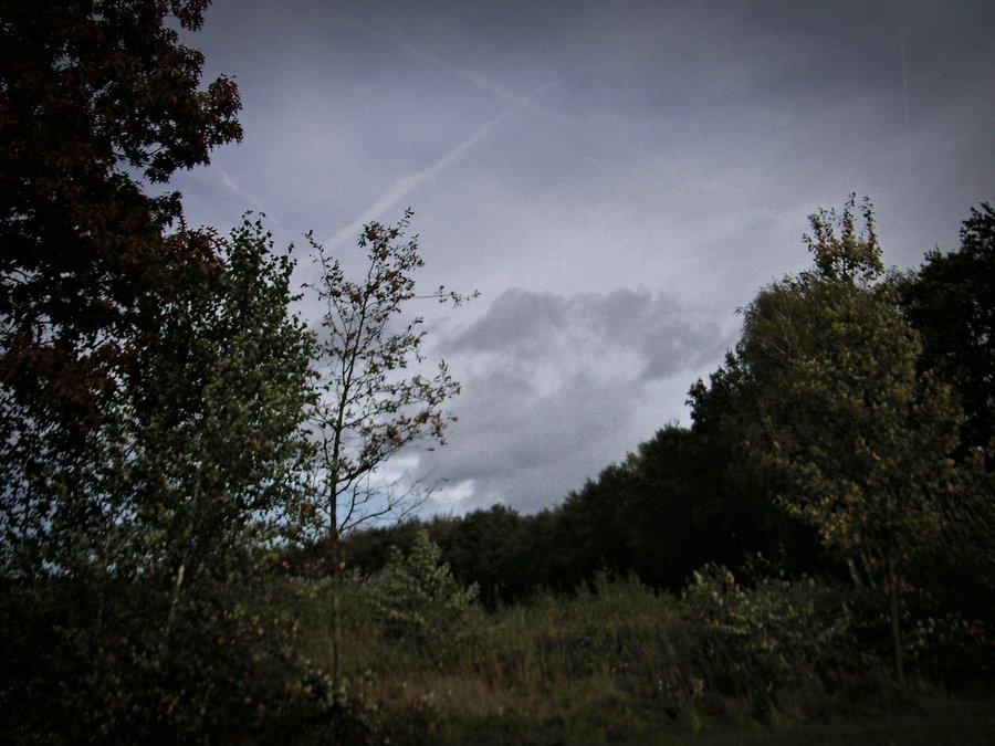 Around the Pallastweg – Hengelo, the Netherlands