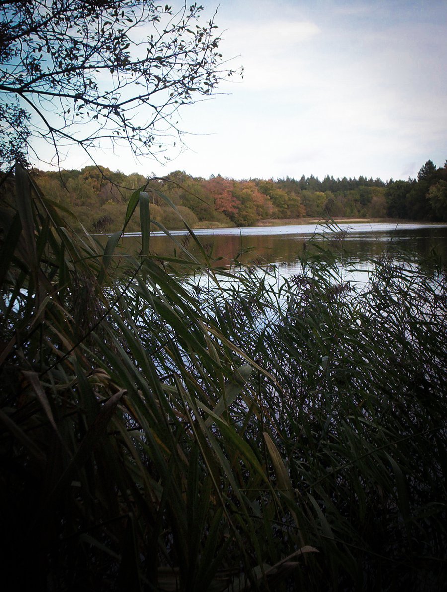 Lonnekermeer – Hengelo, the Netherlands