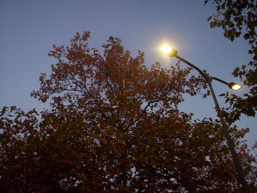 Parkinglot in the morning – Hengelo, the Netherlands