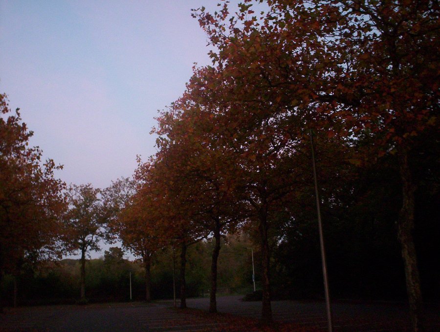 Parkinglot in the morning – Hengelo, the Netherlands