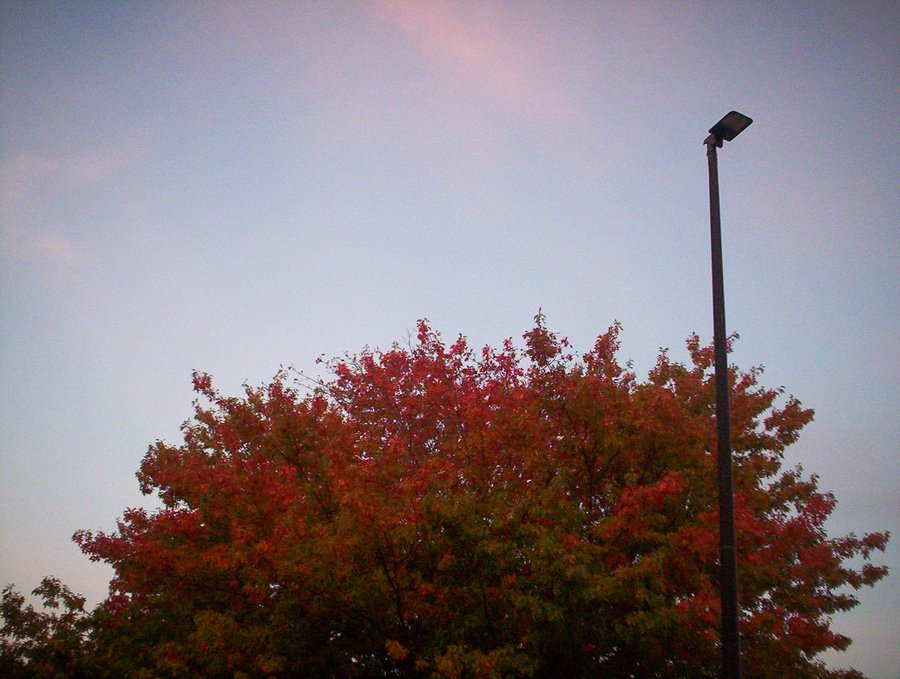 More autumn – Hengelo, the Netherlands