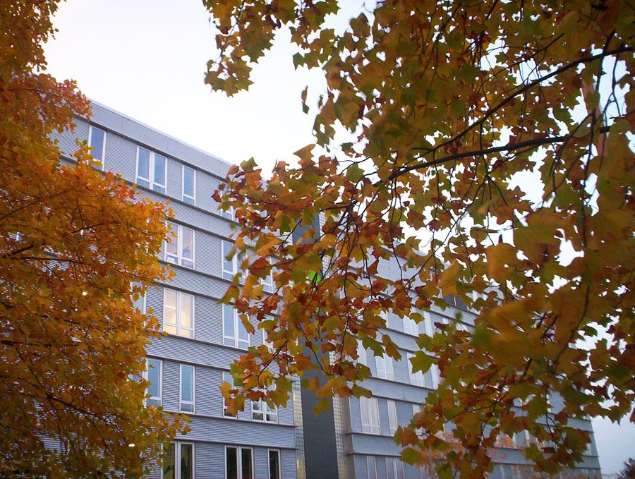 More autumn – Hengelo, the Netherlands