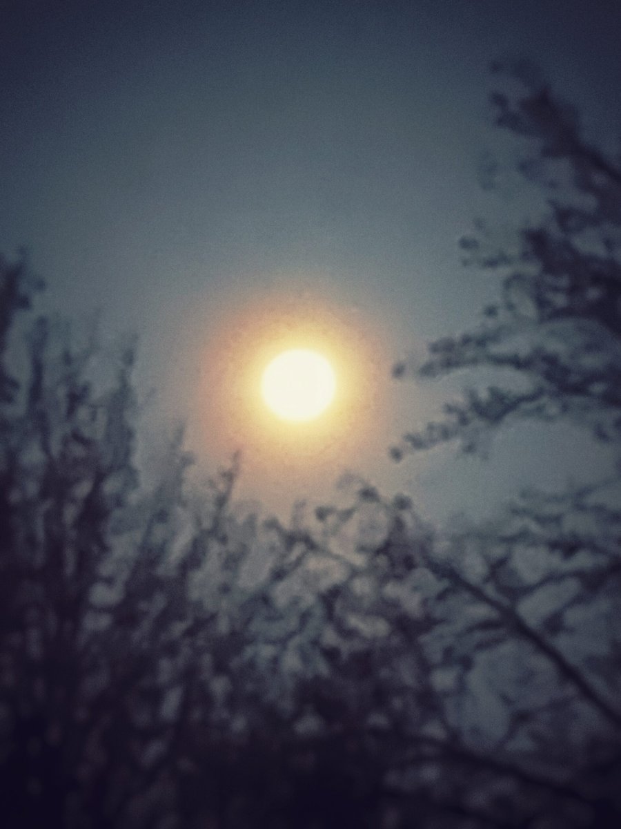 Foggy morning – Hengelo, the Netherlands