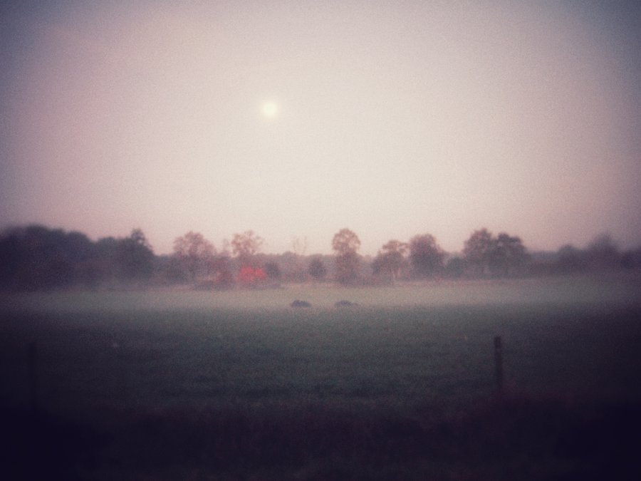 Foggy morning – Hengelo, the Netherlands
