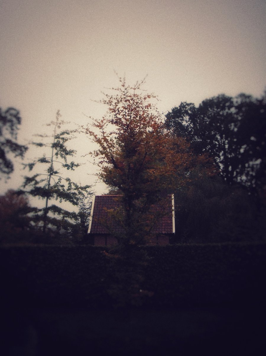 Wet morning in Lochem – the Netherlands