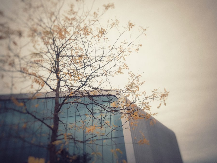 Near the trainstation – Hengelo, the Netherlands