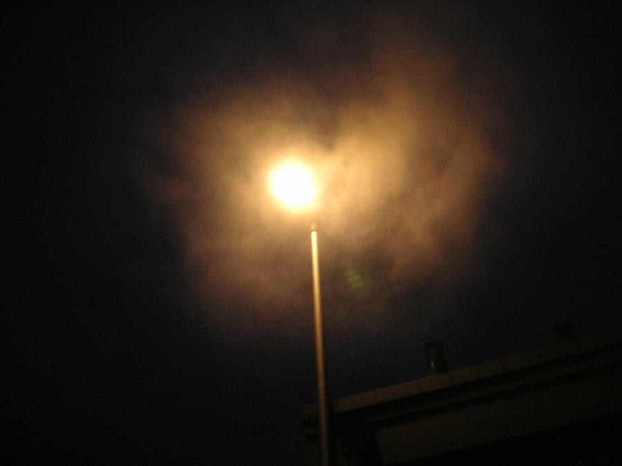 Misty light – Hengelo, the Netherlands