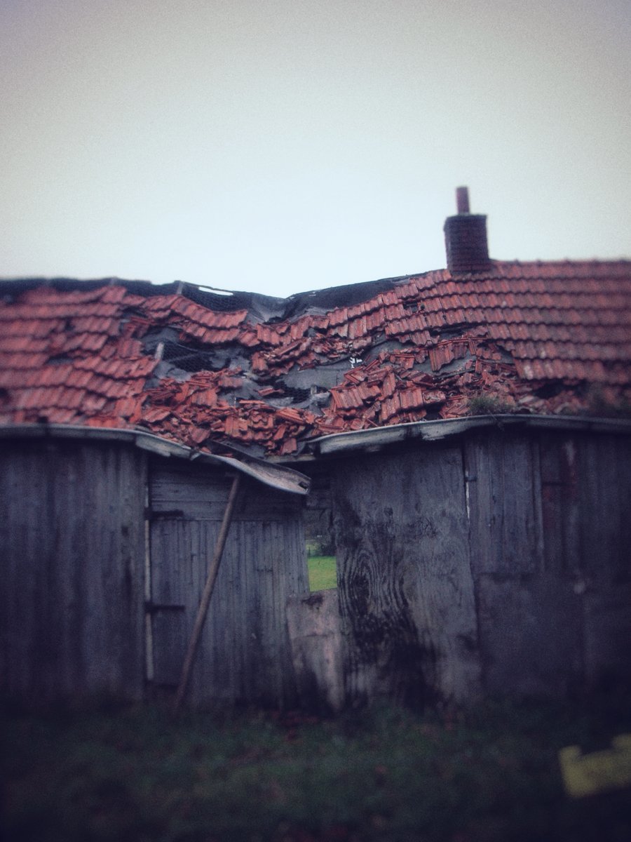 Collapsed barn – Hengelo, the Netherlands
