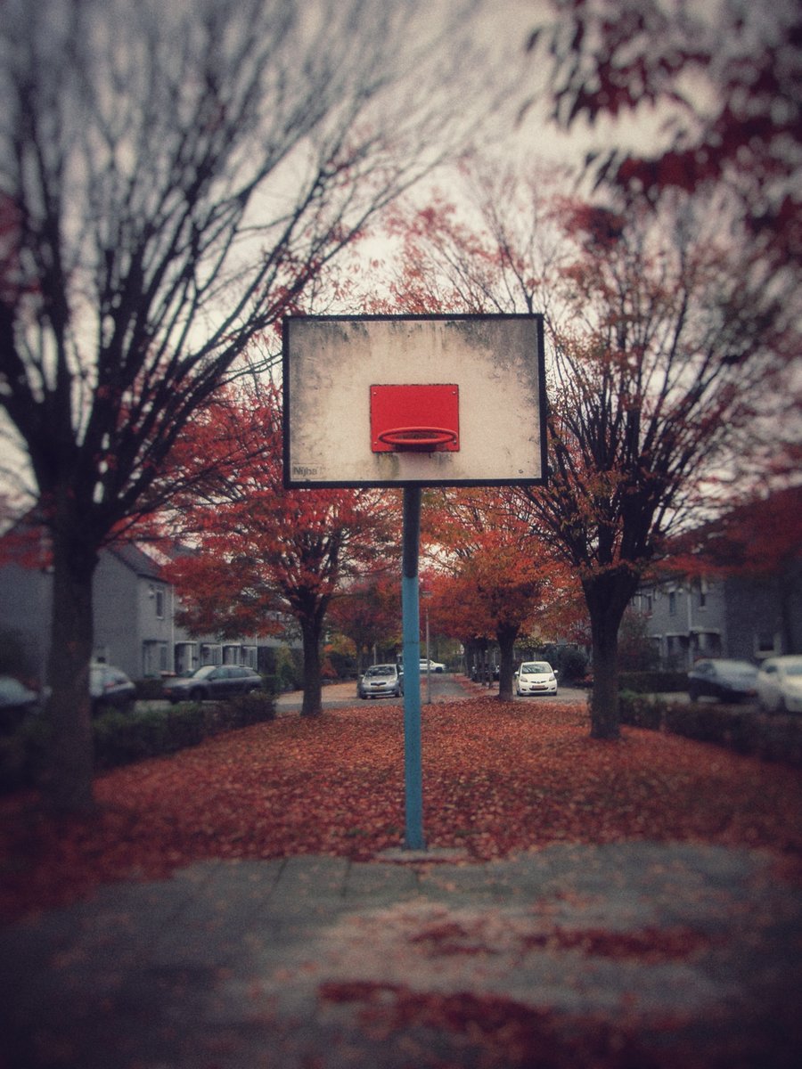 Basketbal