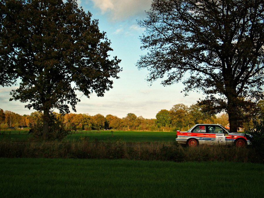 Rally – Goor area, the Netherlands