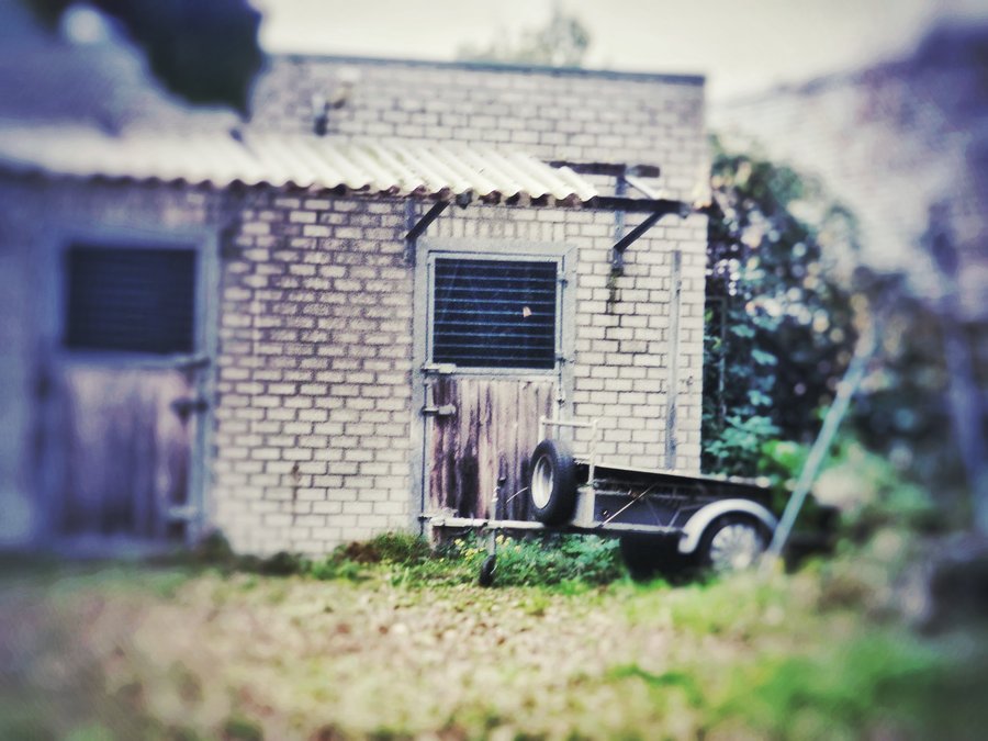 Business premise backyard – Hengelo, the Netherlands