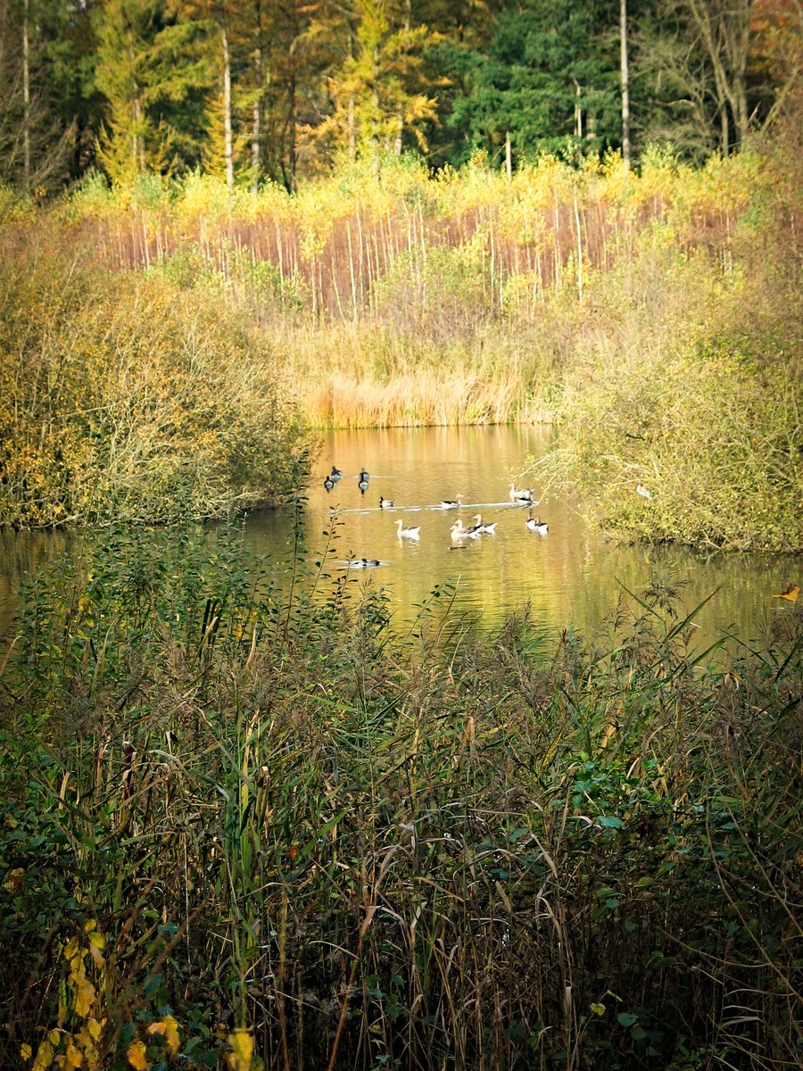 Lonnekermeer – Hengelo, the Netherlands