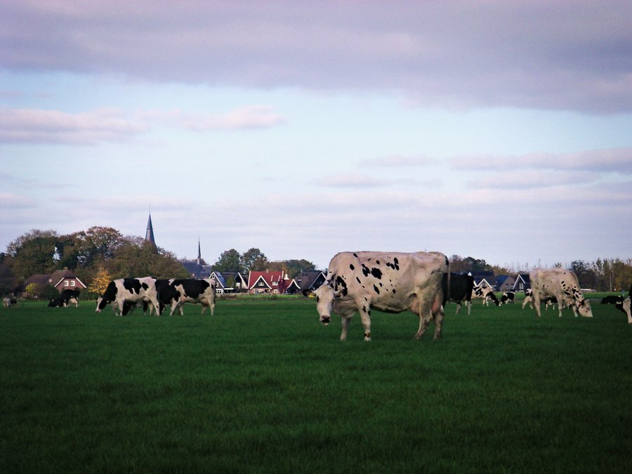 Deurningen area – Hengelo, the Netherlands