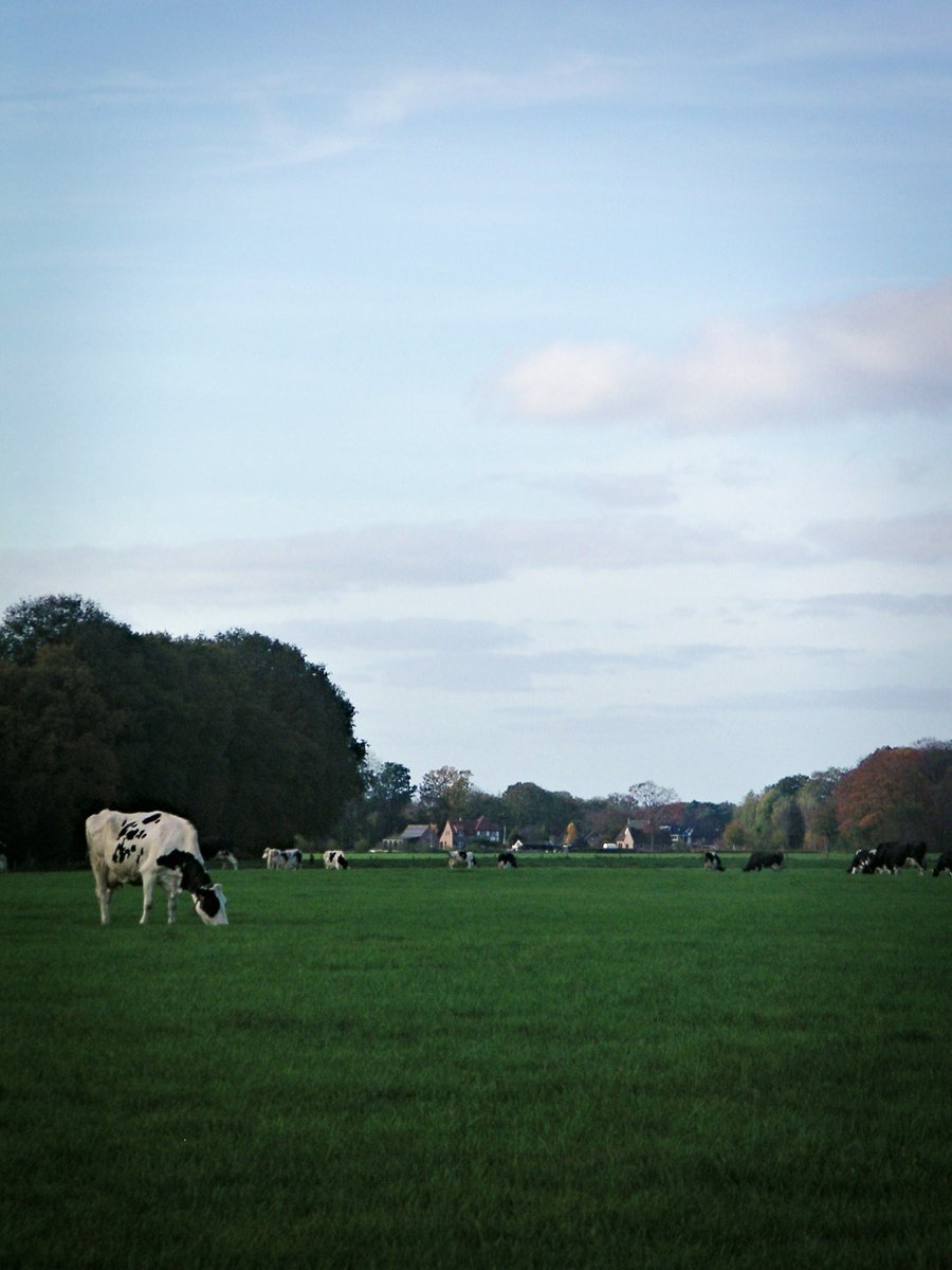 Deurningen area – Hengelo, the Netherlands